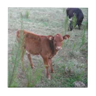 Carreau Bébé vache Brown.