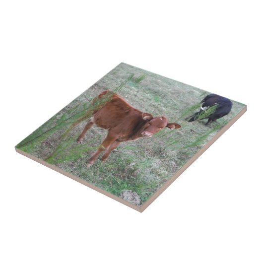 Carreau Bébé vache Brown. (Côté)
