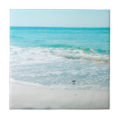 Carreau Bécasseau de sable de Floride (Devant)