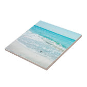 Carreau Bécasseau de sable de Floride (Côté)