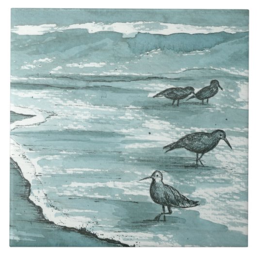 Carreau Bécasseaux de sable Oiseaux de rivage d'océan Vagu (Devant)