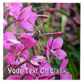 Carreau Bee Nice (Devant)