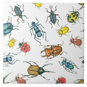 Carreau Beetles