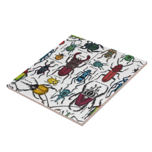 Carreau Beetons sur blanc (Côté)