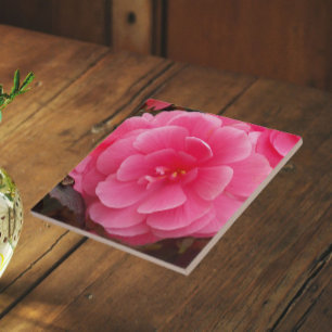 Carreau Bégonia tubéreux rose floral
