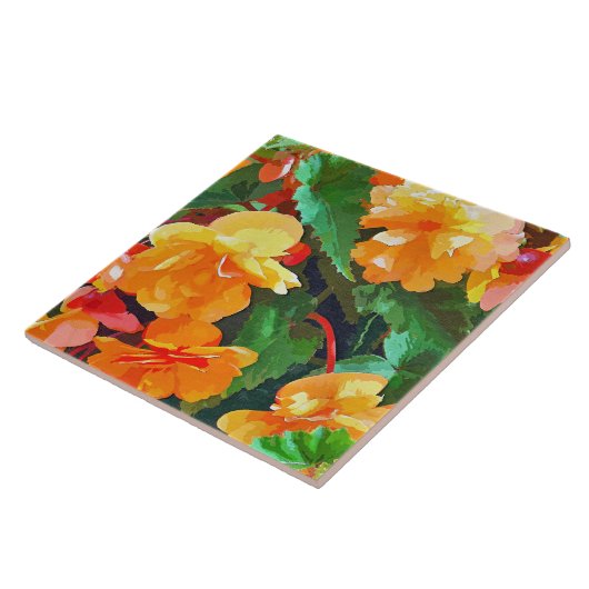 CARREAU BEGONIAS (Côté)