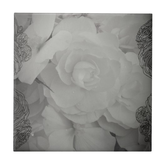 Carreau Bégonie blanche (Devant)
