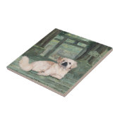 Carreau Beignets (Côté)