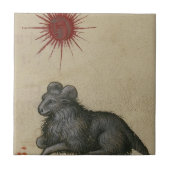 Carreau Bélier (Devant)