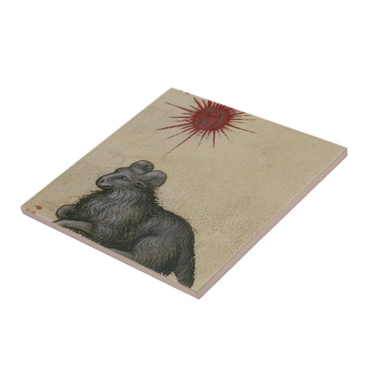 Carreau Bélier (Côté)