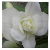 Carreau Belle Carnation blanche (Devant)