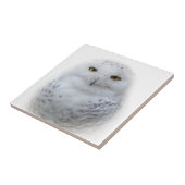 Carreau Belle, Dreamy et Serene Snowy Owl (Côté)