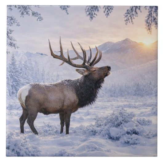Carreau Belle Elk dans l'Art de la Neige (Devant)