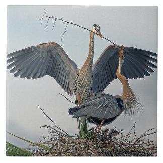 Carreau Belle famille de Great Blue Heron (photo)
