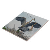 Carreau Belle famille de Great Blue Heron (photo) (Côté)