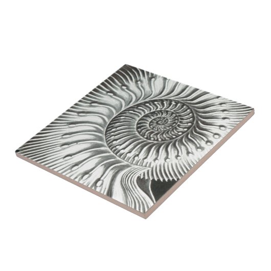 Carreau Belle fin vers le haut de conception d'image (Côté)