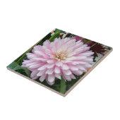 Carreau Belle Fleur Dahlia Purple Clair (Côté)