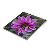 Carreau Belle fleur de dahlia (Côté)