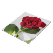 Carreau Belle Fleur de Rose Rouge Profond Florale (Côté)