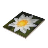 Carreau Belle fleur nénuphar d'eau blanche (Côté)