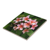 Carreau Belle fleur rose de Plumeria (Côté)