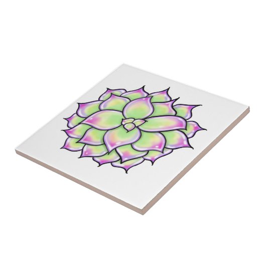 Carreau Belle fleur succulente (Côté)