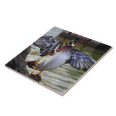 Carreau Belle frapper Bois Canard Floride Photographie (Côté)