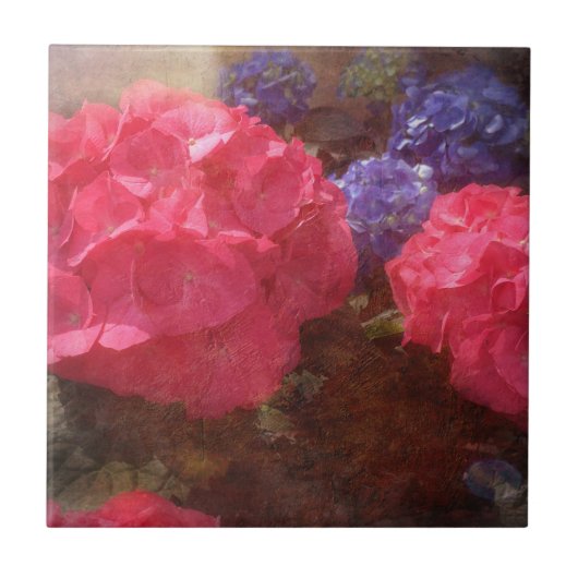 Carreau Belle Hydrangea (Devant)