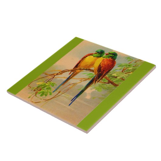 Carreau belle impression d'oiseaux (Côté)