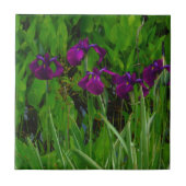 Carreau Belle Iris Violet (Devant)