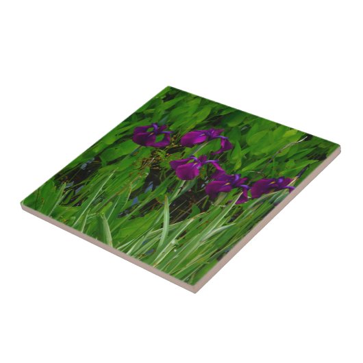 Carreau Belle Iris Violet (Côté)