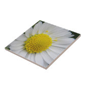 Carreau Belle marguerite blanche (Côté)