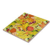 Carreau Belle nature (Côté)