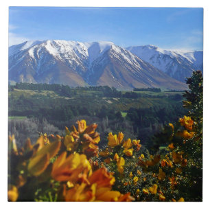 Carreau Belle Nouvelle-Zélande