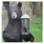 Carreau Belle Ours Noir (Devant)