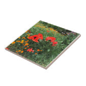 Carreau Belle Pavot Rouge   (Côté)