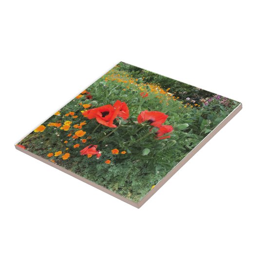 Carreau Belle Pavot Rouge   (Côté)