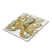 Carreau Belle photo de poulpe par Haeckel (Côté)