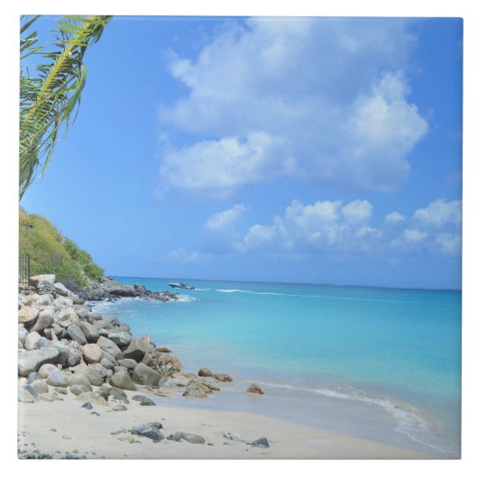 Carreau Belle Plage Tropicale Turquoise (Devant)