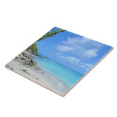 Carreau Belle Plage Tropicale Turquoise (Côté)
