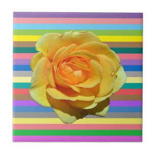 Carreau Belle rose arc-en-ciel