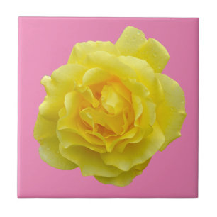 Carreau Belle rose jaune