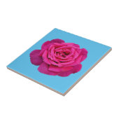 Carreau Belle rose rose (Côté)