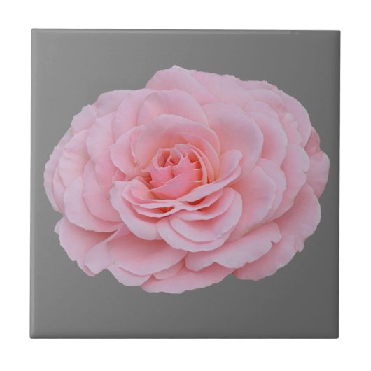Carreau Belle rose rose (Devant)