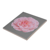 Carreau Belle rose rose (Côté)