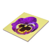 Carreau Belle sansy violet (Côté)