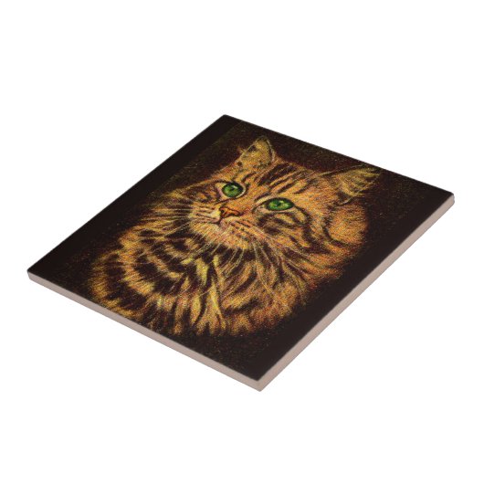 Carreau belle tabby à cheveux longs (Côté)