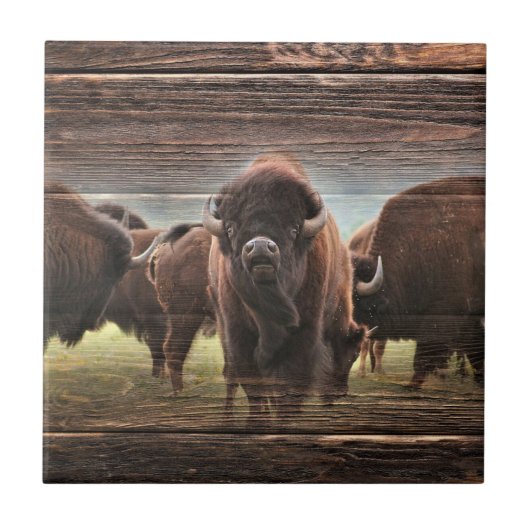 Carreau Belle Trousse De Buffalo (Devant)