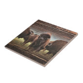Carreau Belle Trousse De Buffalo (Côté)