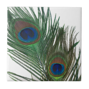 Carreau Belle tuile blanche de plume de paon